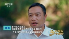 央视报道鸣鸣很忙：以新质出产力激活“小零食